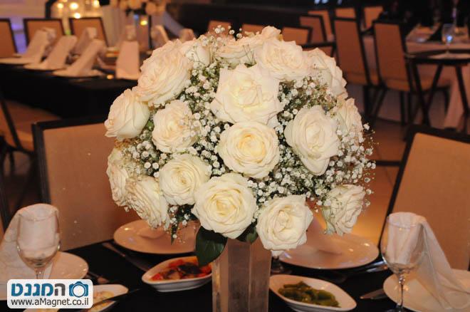 תמונה גדולה